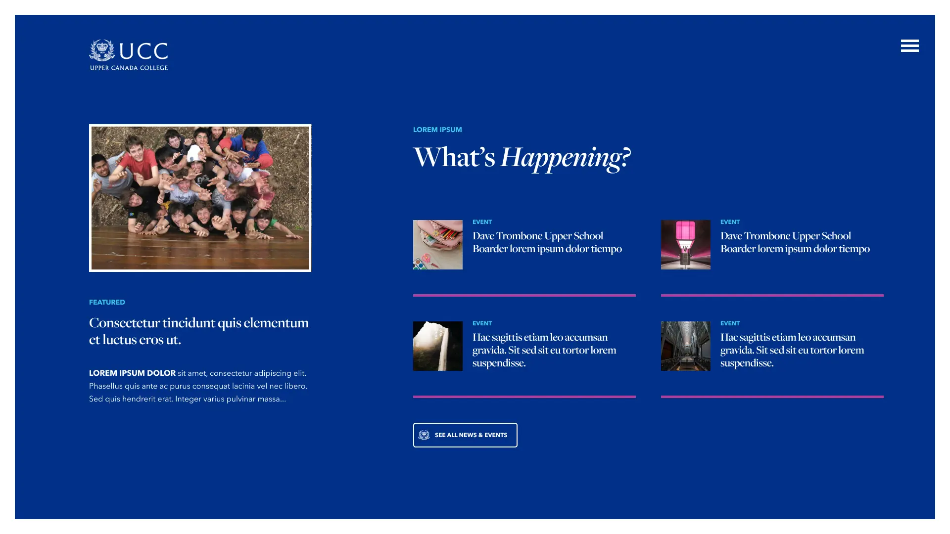  OptimizedImage,,,Optimized
